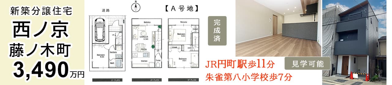 京都市中京区西ノ京藤ノ木町 新築一戸建